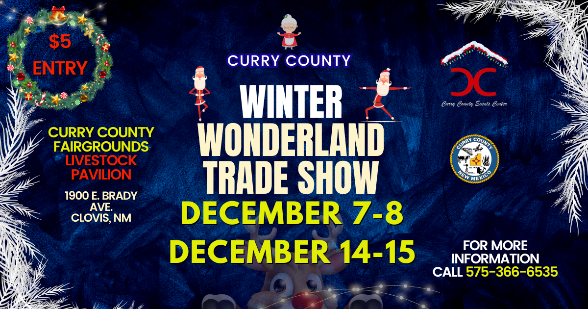 winter wonderland website